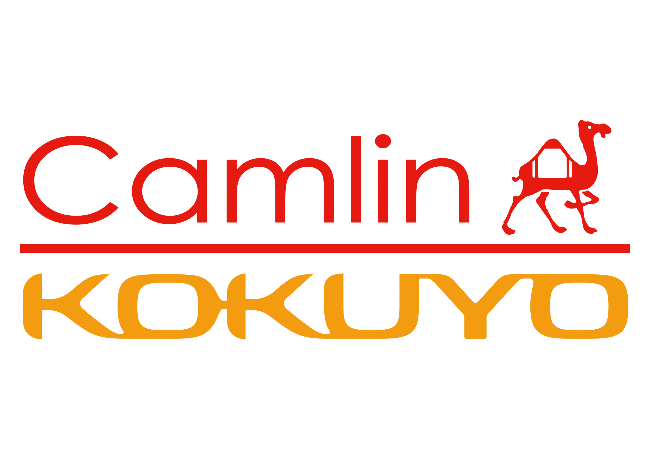 Camlin