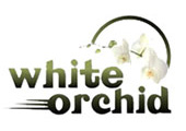 White Orchid